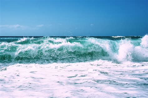  The Tide Is High : Une vague sonore douce et ensoleillée qui vous transportera vers des plages paradisiaques