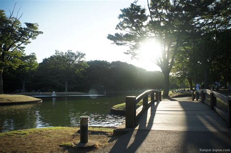 代々木 何がある - 未来への架け橋としての可能性